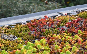 the cost of Kirkby green roof installation