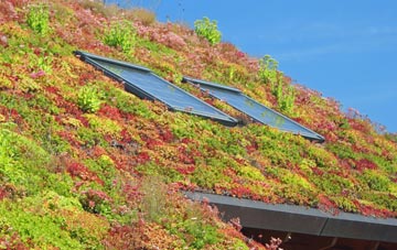Kirkby living roof systems